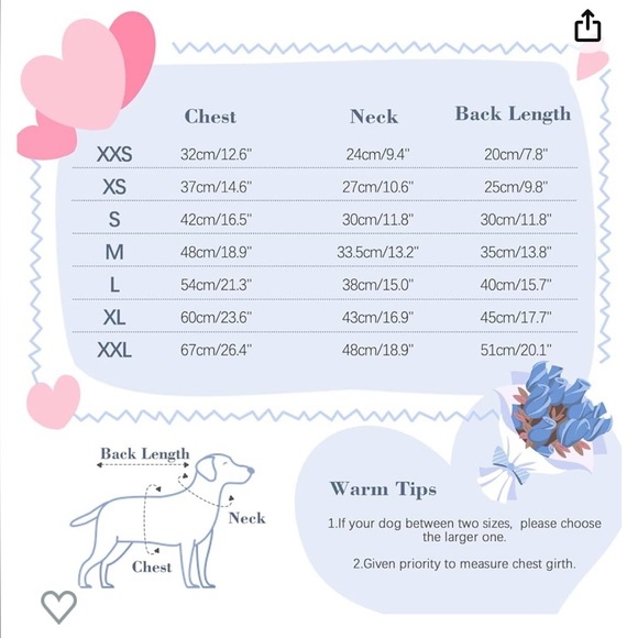 Like New Condition - White Lace Dress for Small Pet - Picture 5 of 8